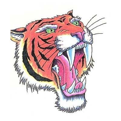 Dragon Wrap Angry Tiger Design Water Transfer Temporary Tattoo(fake Tattoo) Stickers NO.11606
